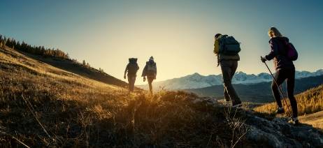 Understanding our Large Cap Growth Strategy