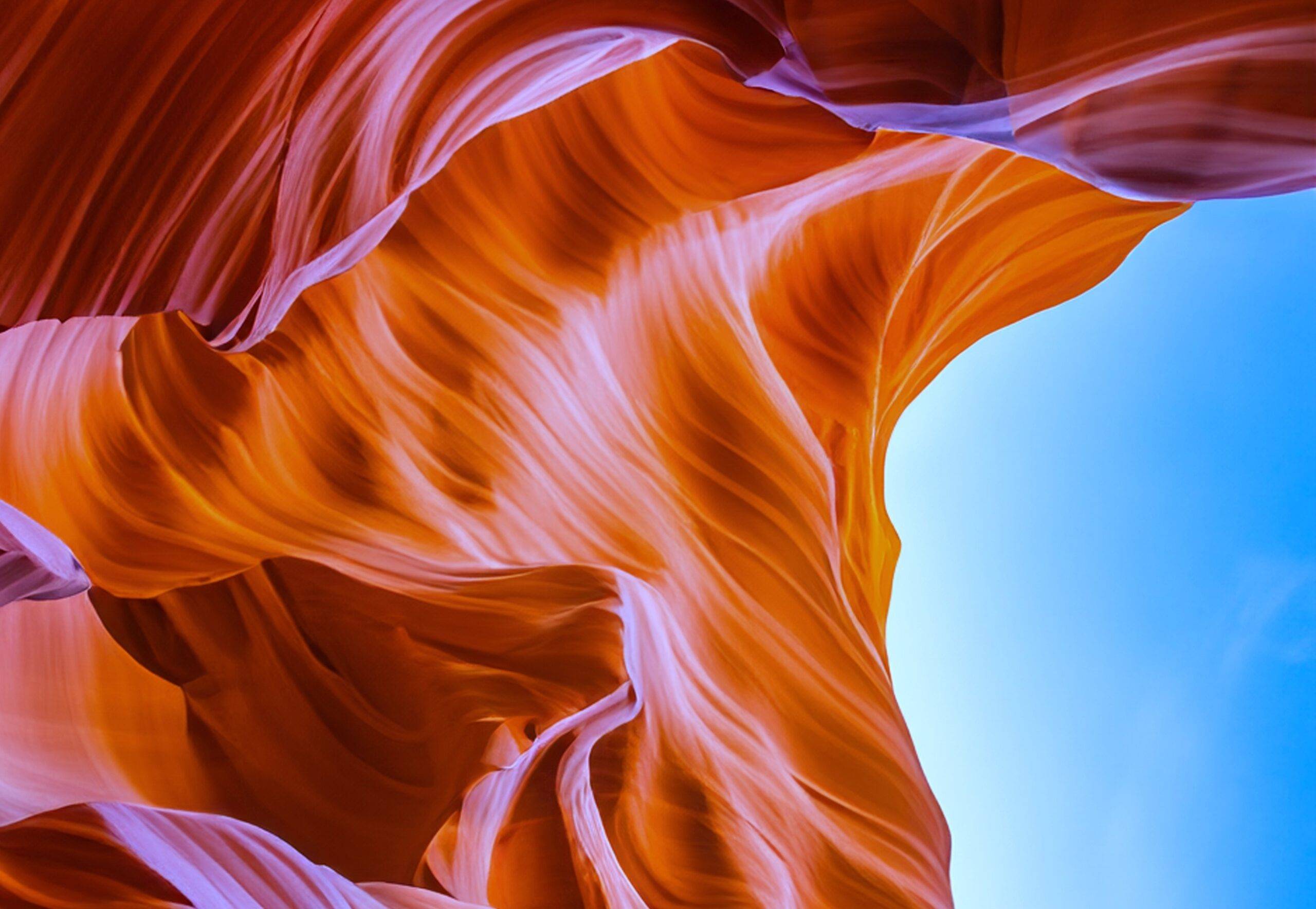 Large Cap Growth Investing in the Age of Index Concentration