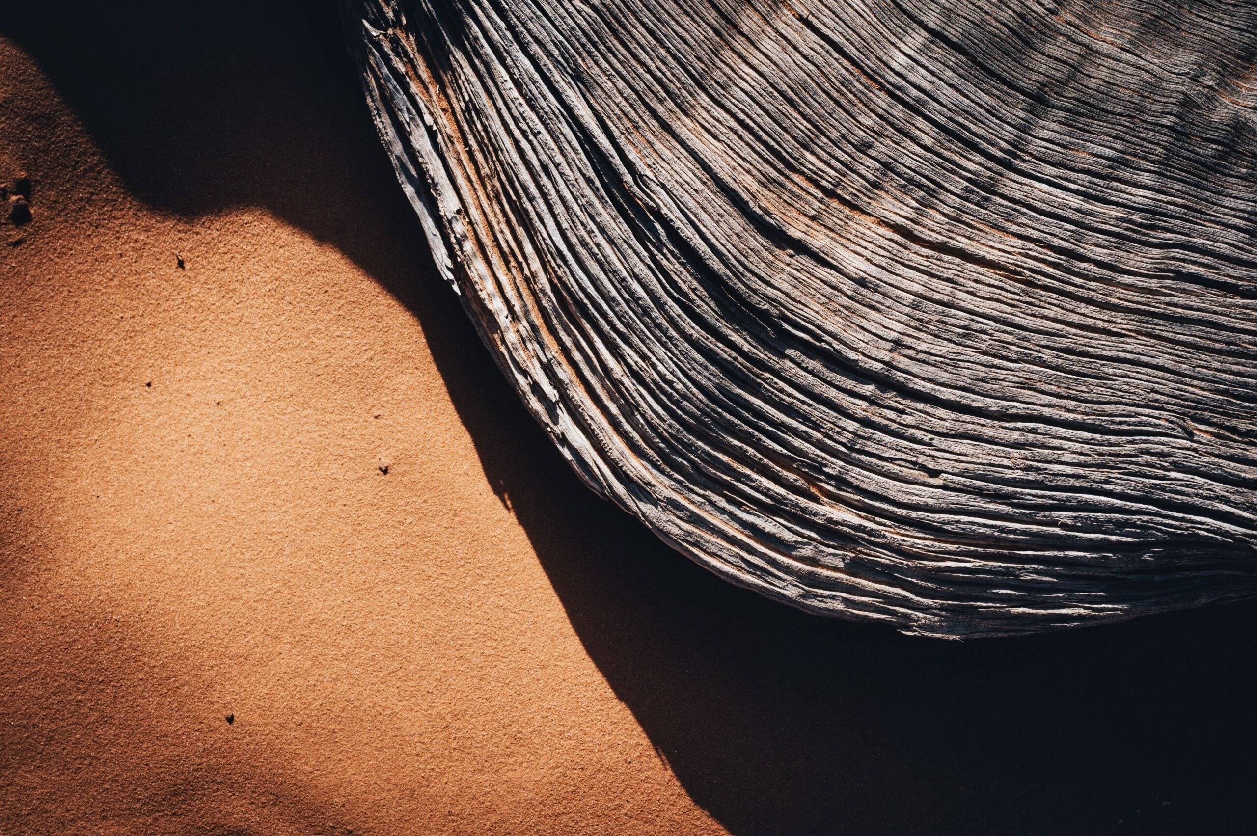 A Fundamental and Long-Term Approach to ESG